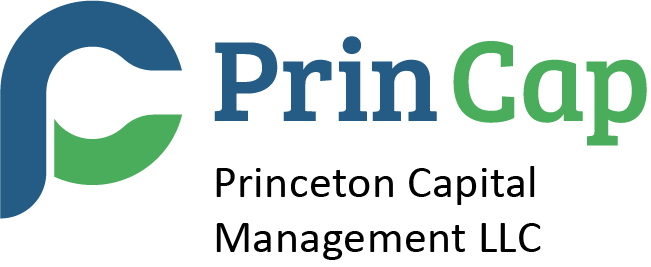 Princeton Capital Management LLC